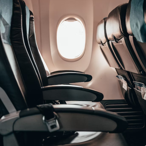 The Girl in the Middle Seat