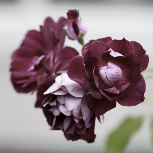 When Grief Shows Up Uninvited
