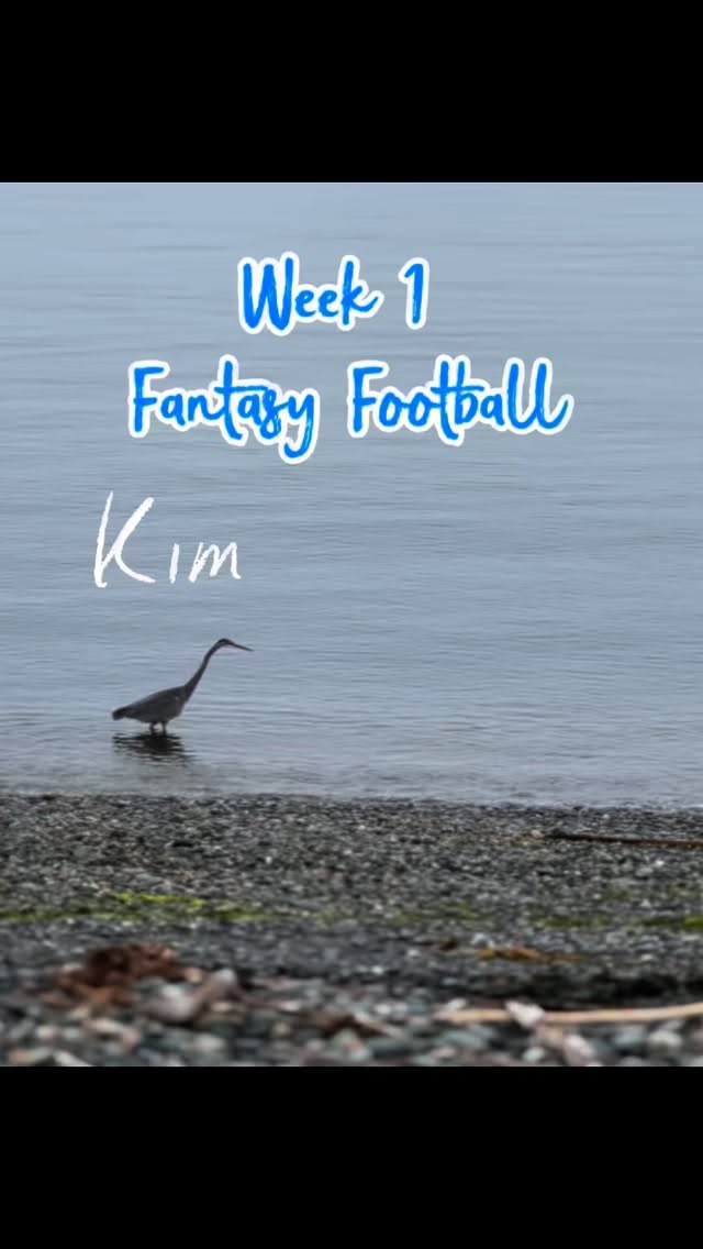 No shade intended. I mean…maybe a little shade intended. 😂😂

#fantasyfootball #jokes #loveyabro